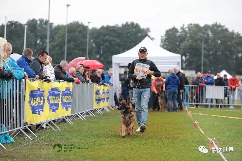 开云入口-纳达尔在快船比赛中锐不可当，比赛规则变更引发热议！赛场气氛高涨-开云入口